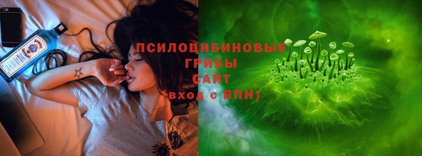 индика Арсеньев