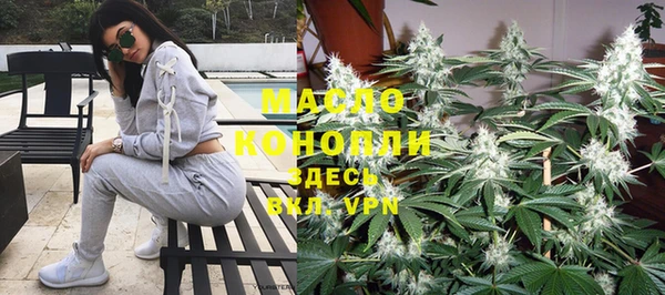 индика Арсеньев