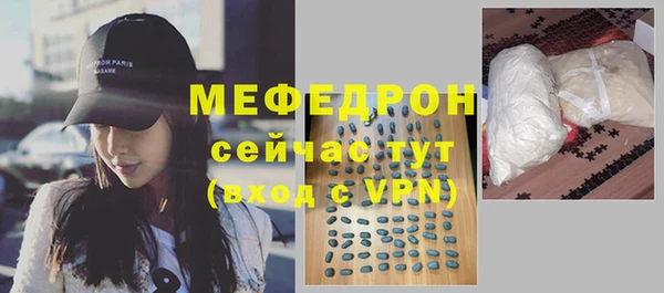 индика Арсеньев