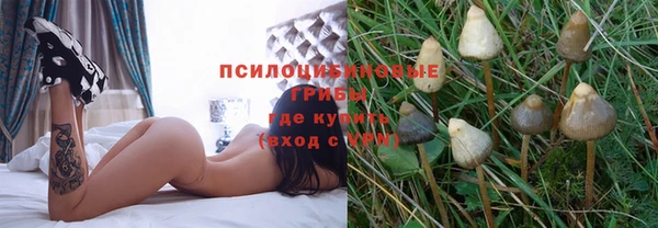 МДПВ Аркадак