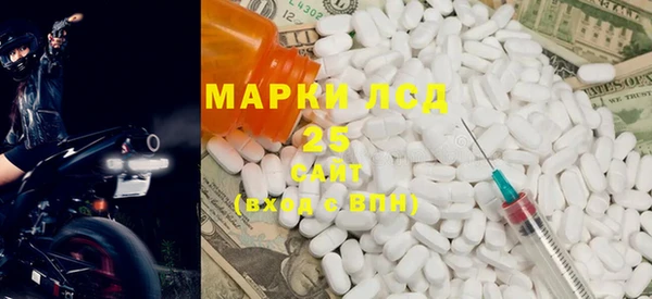 индика Арсеньев
