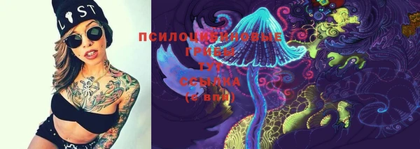 МДПВ Аркадак